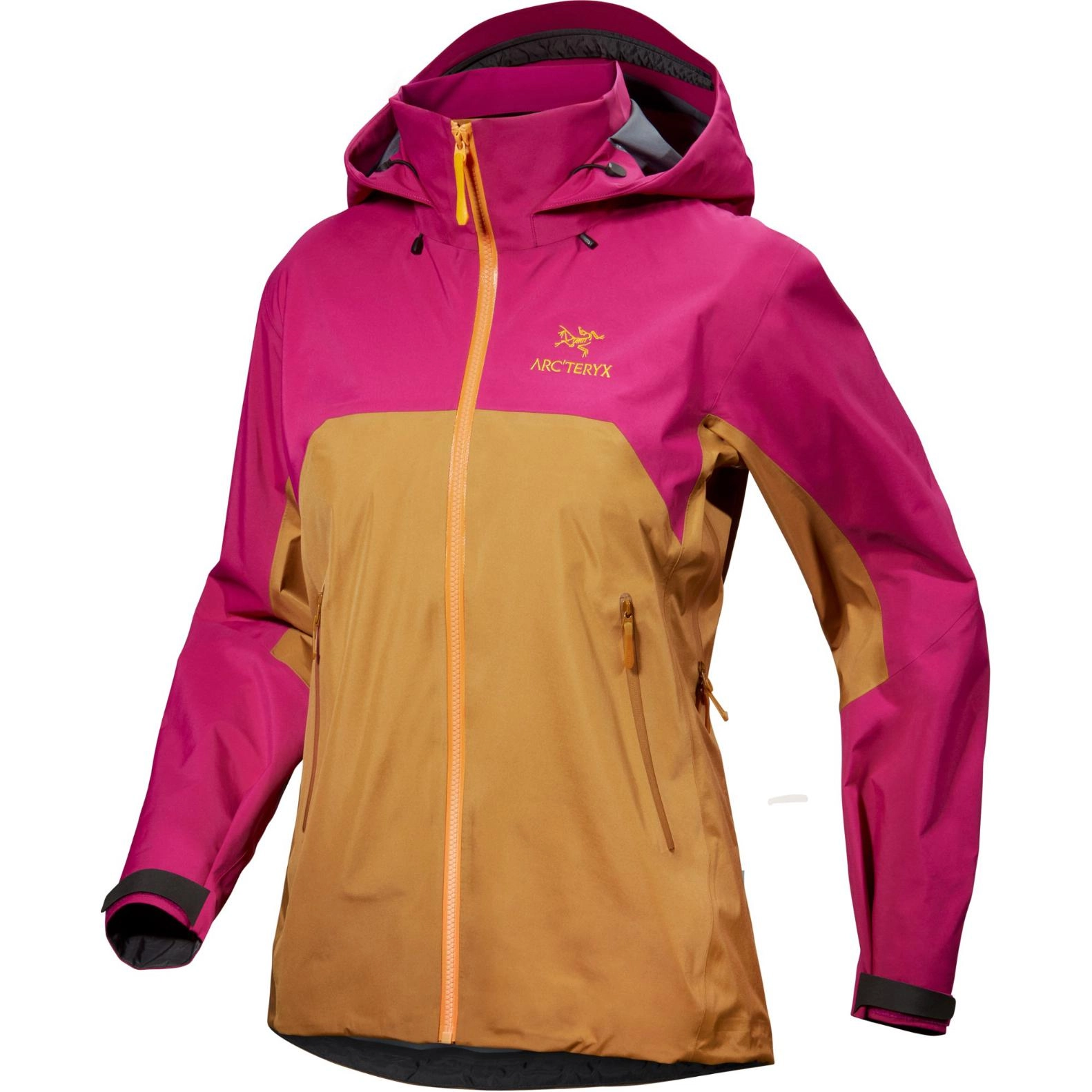 Arcteryx Beta Beta Ar Gore-Tex Logo