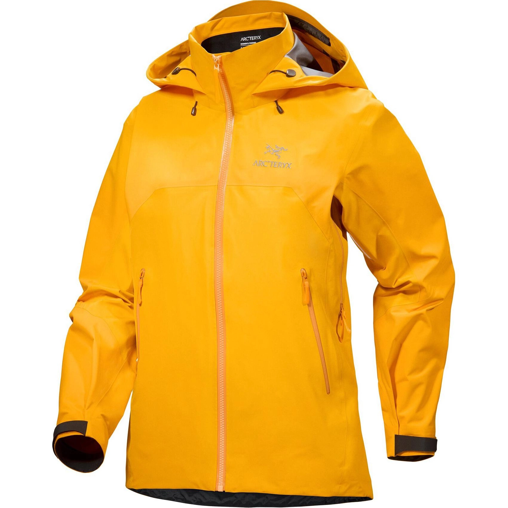 Arcteryx Beta Beta Ar Gore-Tex Logo