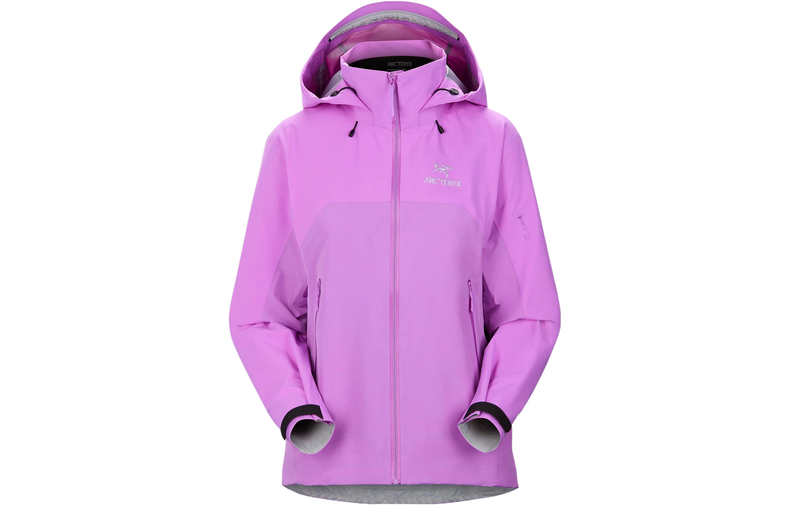 Arcteryx Beta AR Gore-tex Pro