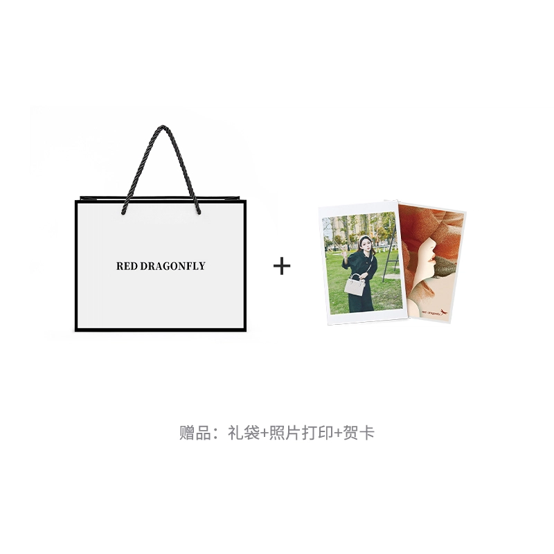 红蜻蜓 精致小众设计平纹高质感锁扣通勤 夏季妈妈包 牛皮 水桶包单肩包手提包斜挎包 常规 女款 米白色