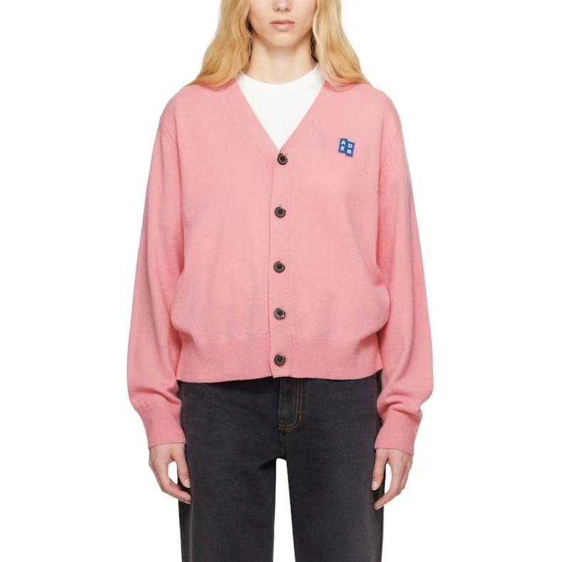 ADER ERROR Logo