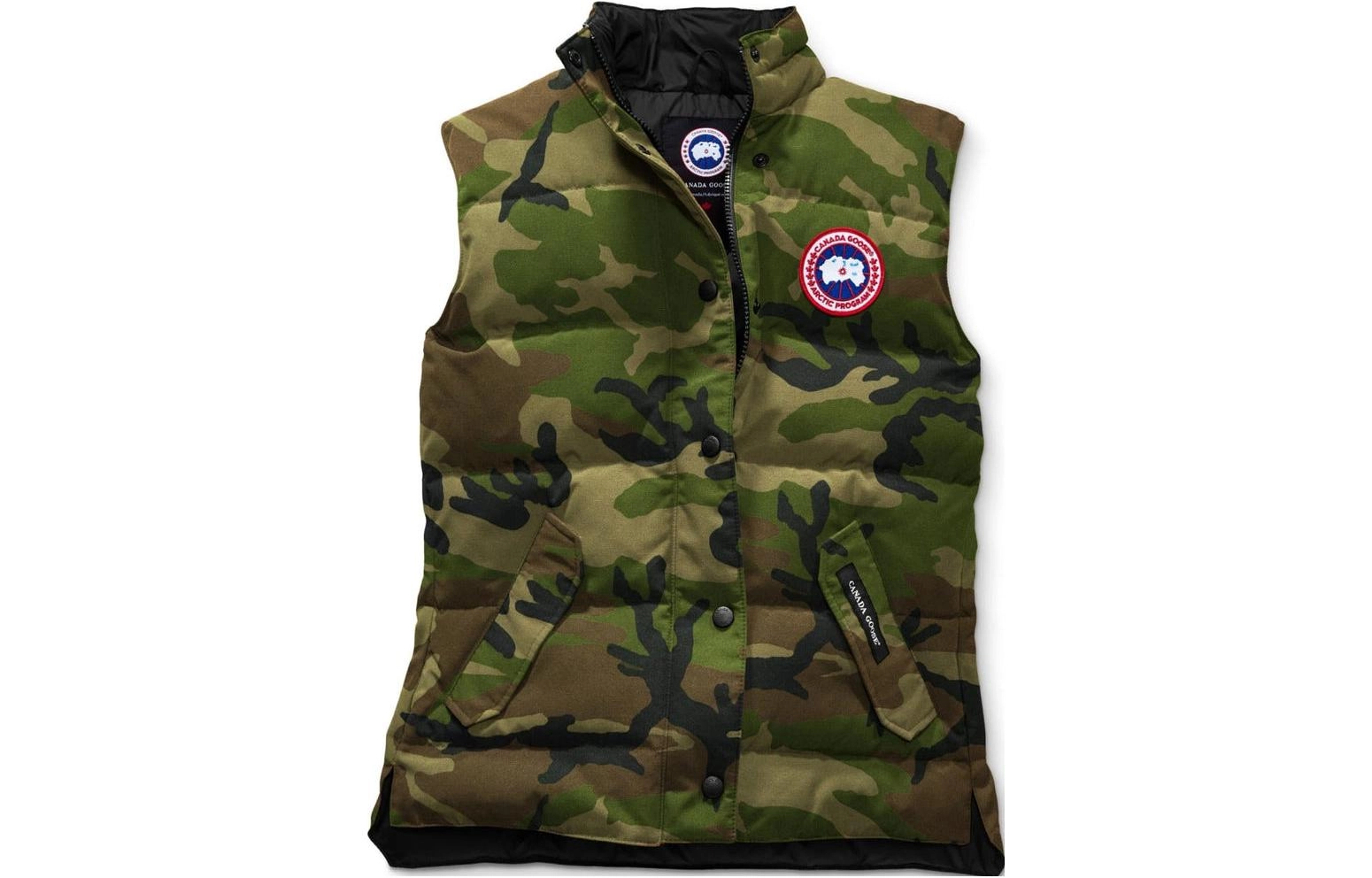 Canada Goose