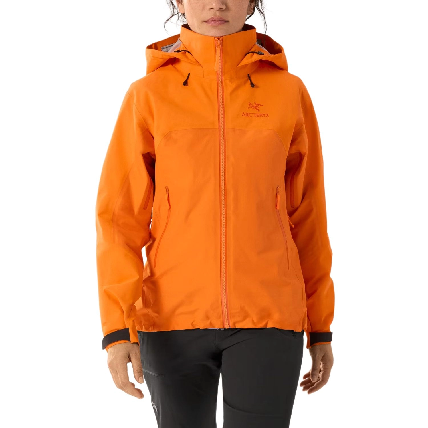 Arcteryx Beta Beta Ar Gore-Tex Logo