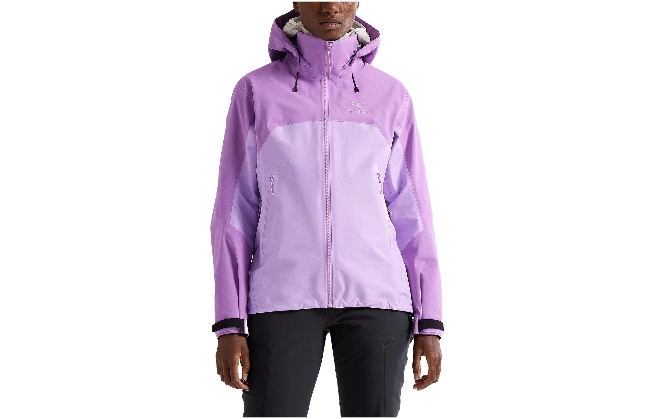 Arcteryx Beta Beta Ar Gore-Tex Logo