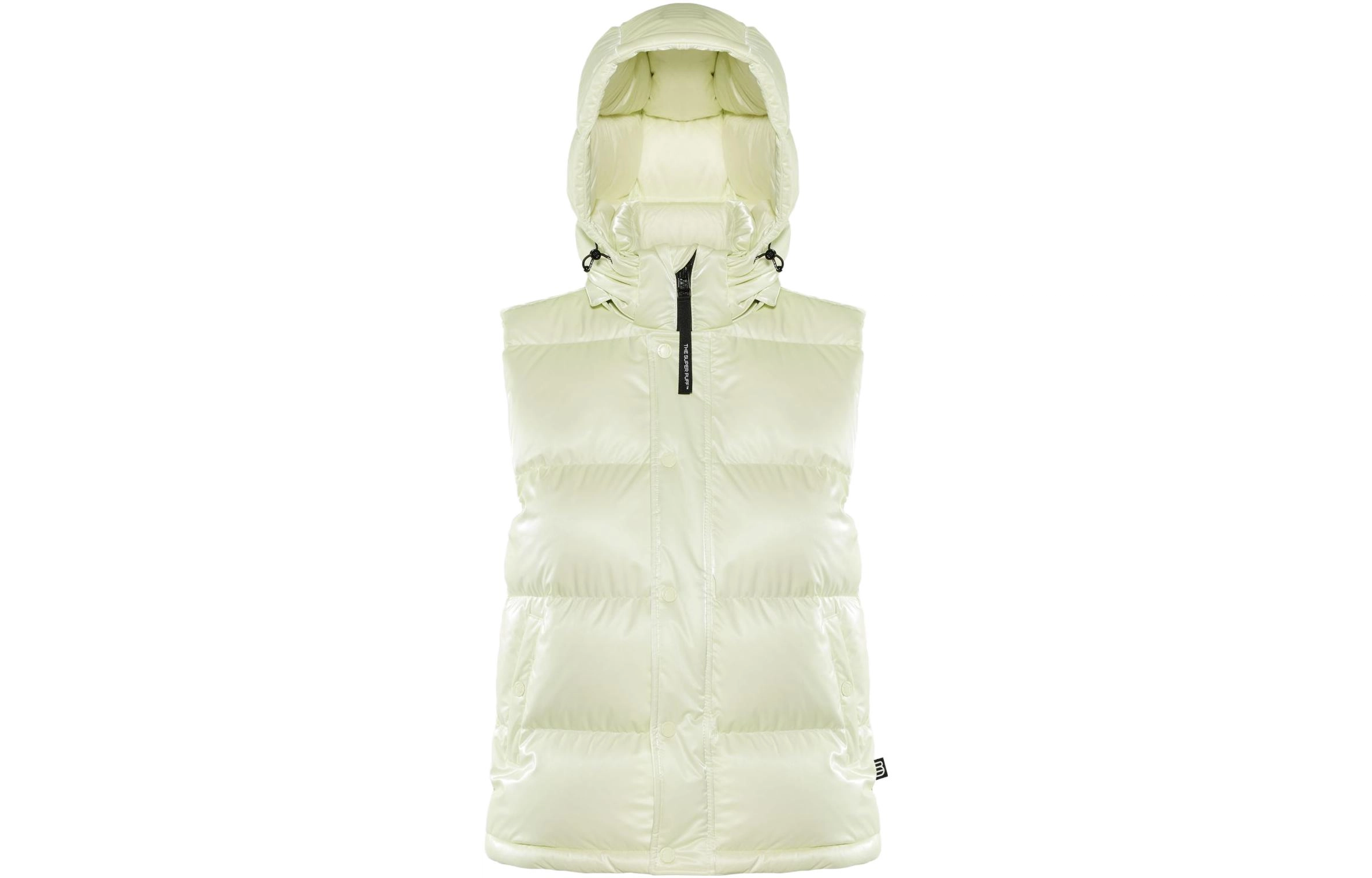 ARITZIA Super Puff Liquid Shine 5