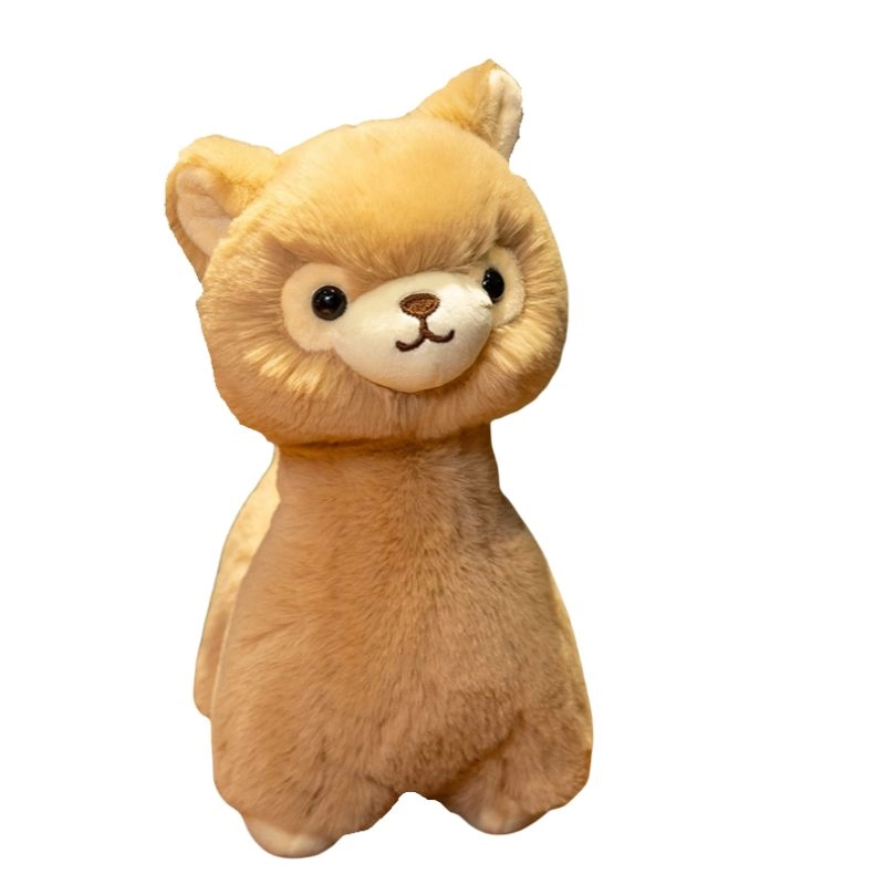 23cm30cm