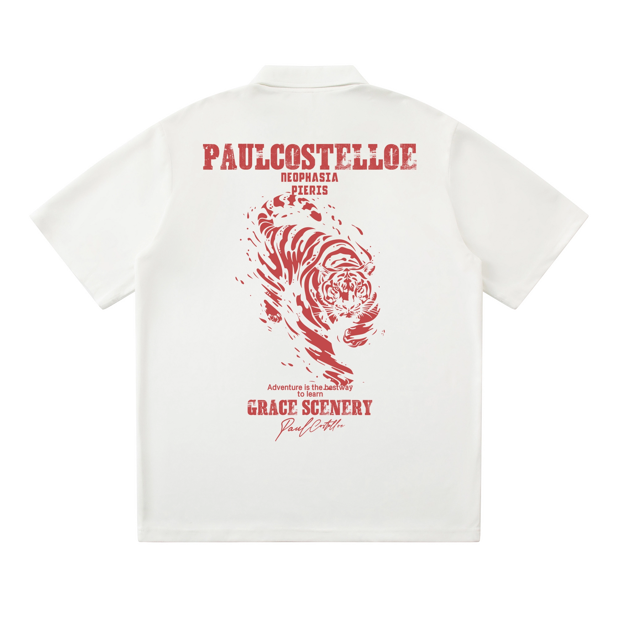 PAUL COSTELLOE logoPolo