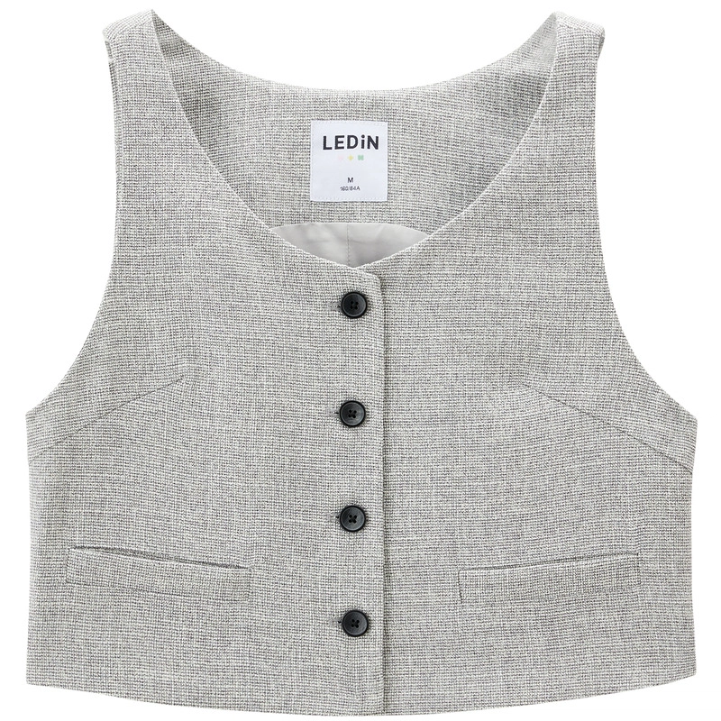 LEDIN V