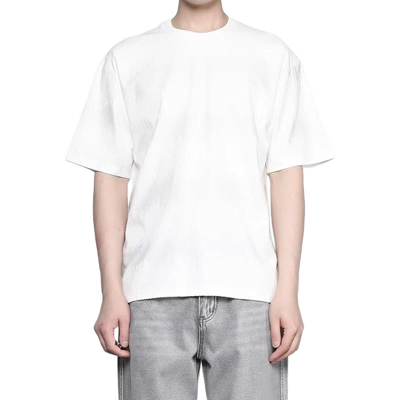 RAYSHOW T