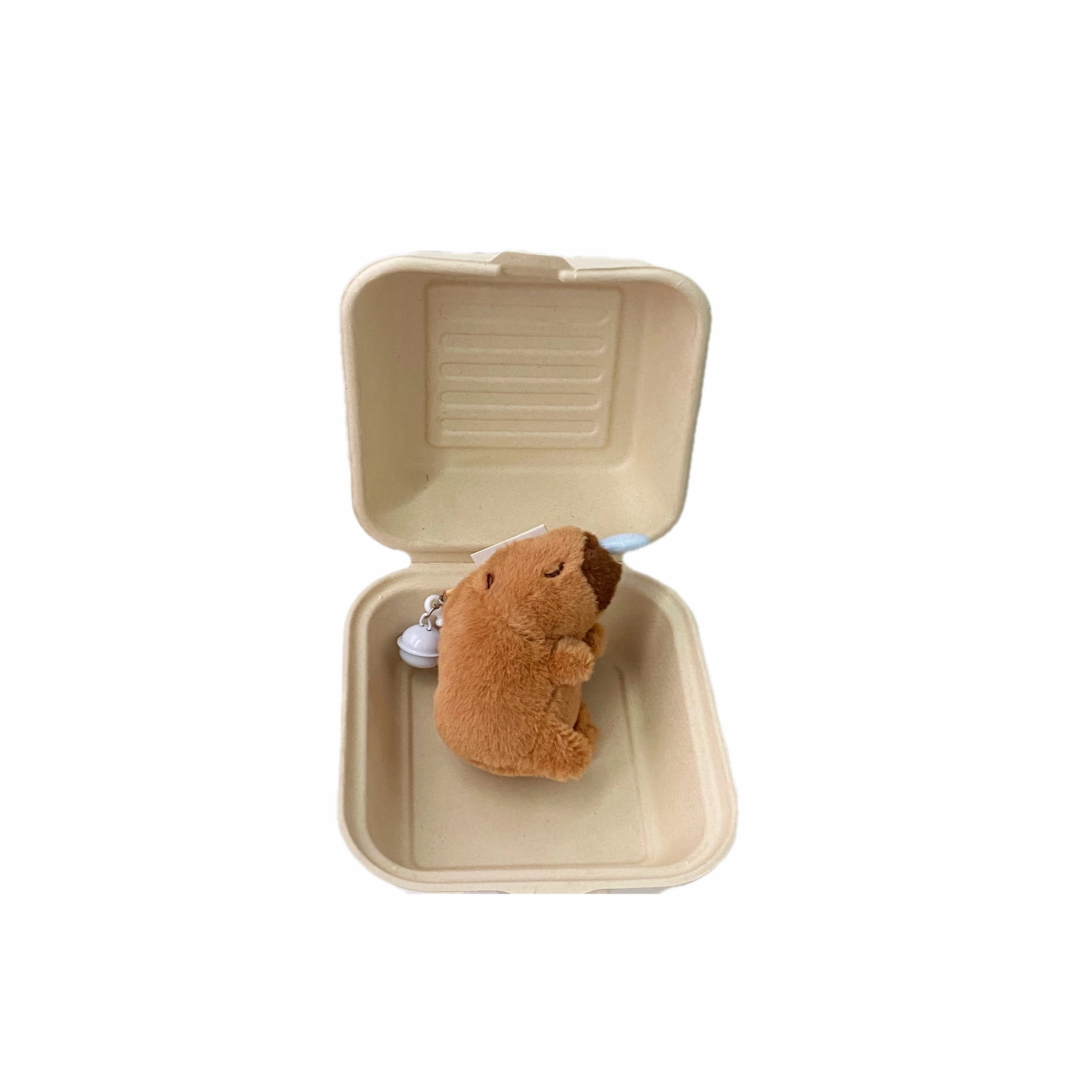 8cm