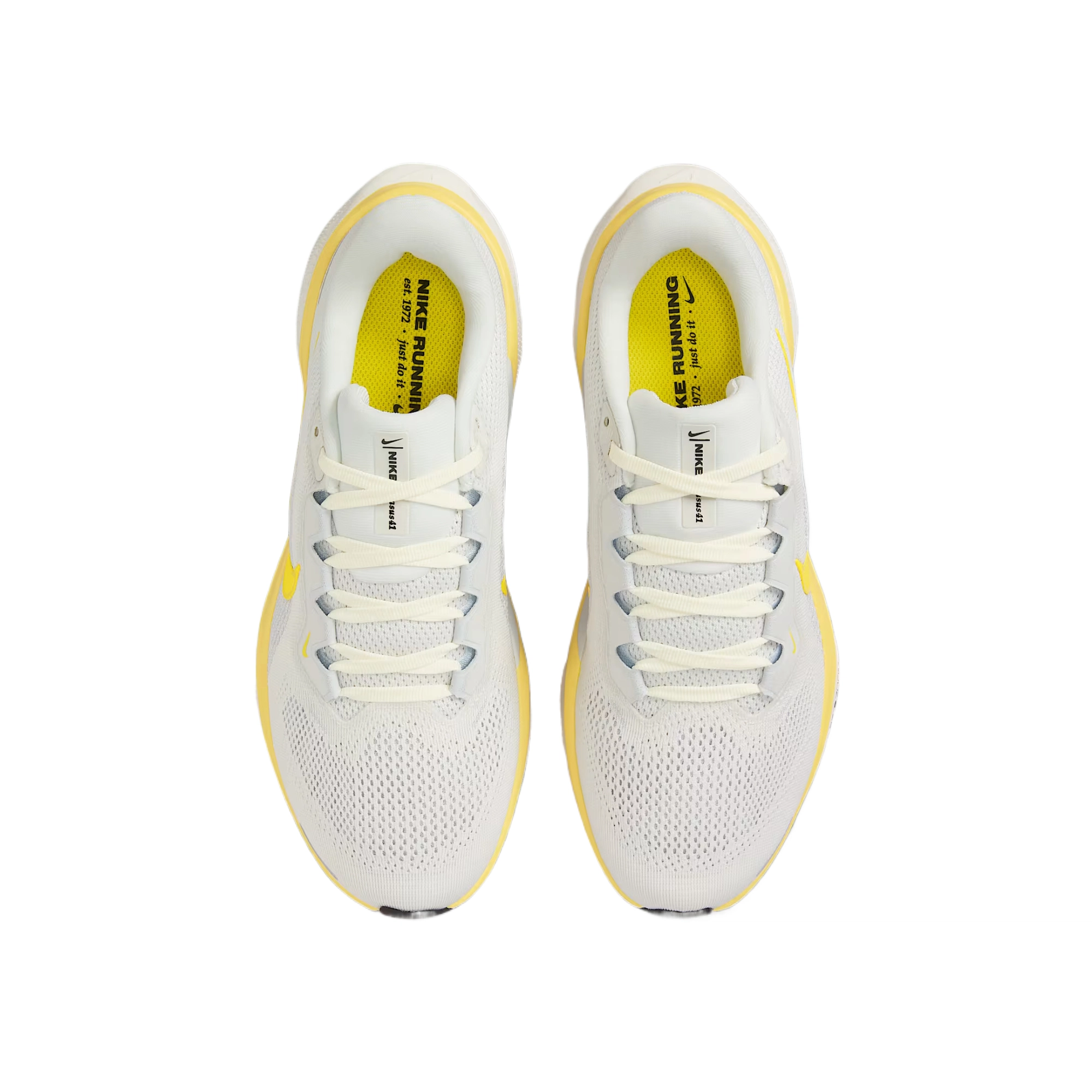 Nike Pegasus 41