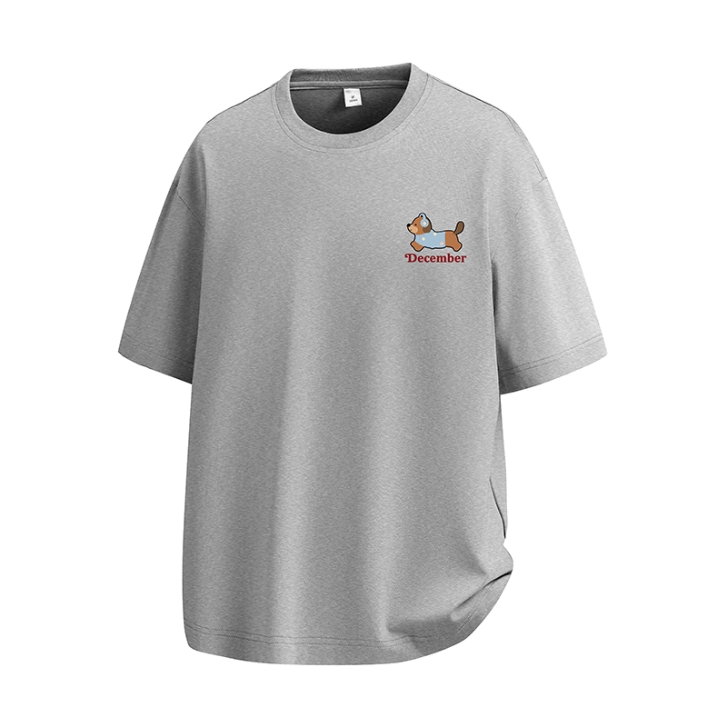LSVE NASA T