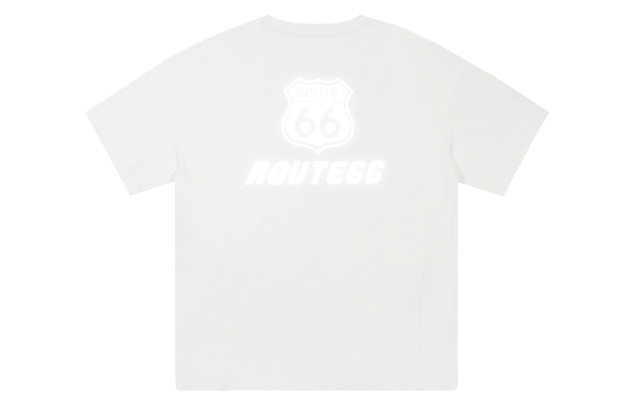 66 T