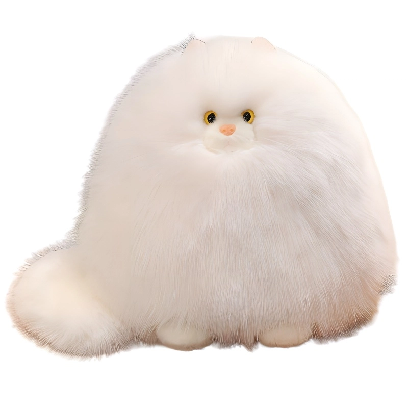 30cm40cm