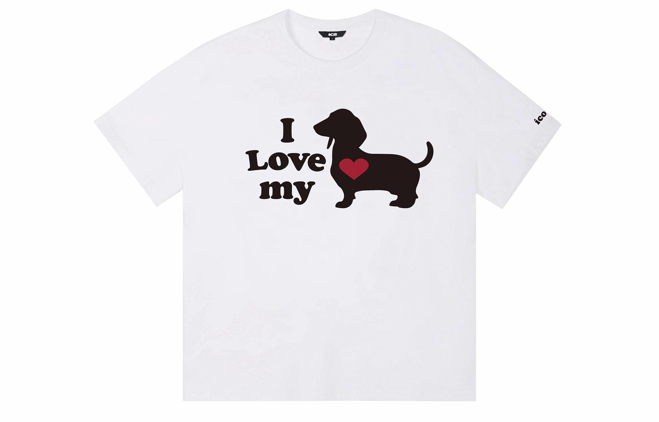 ICONS Lab T