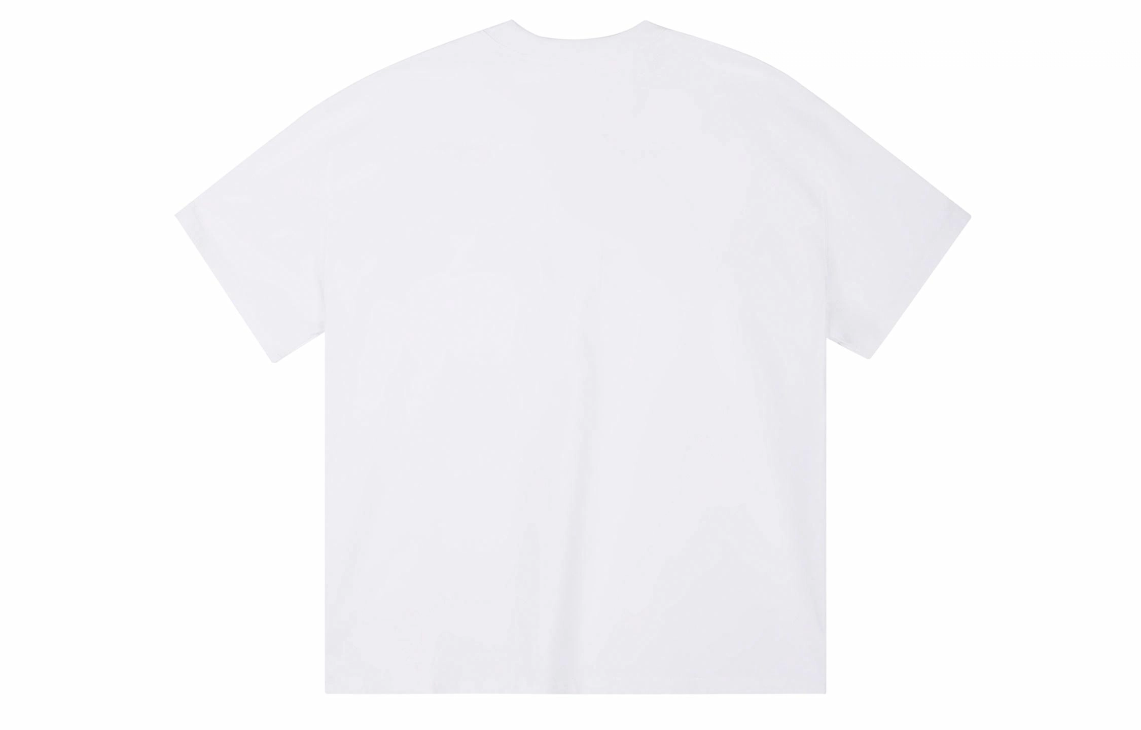ICONS Lab T