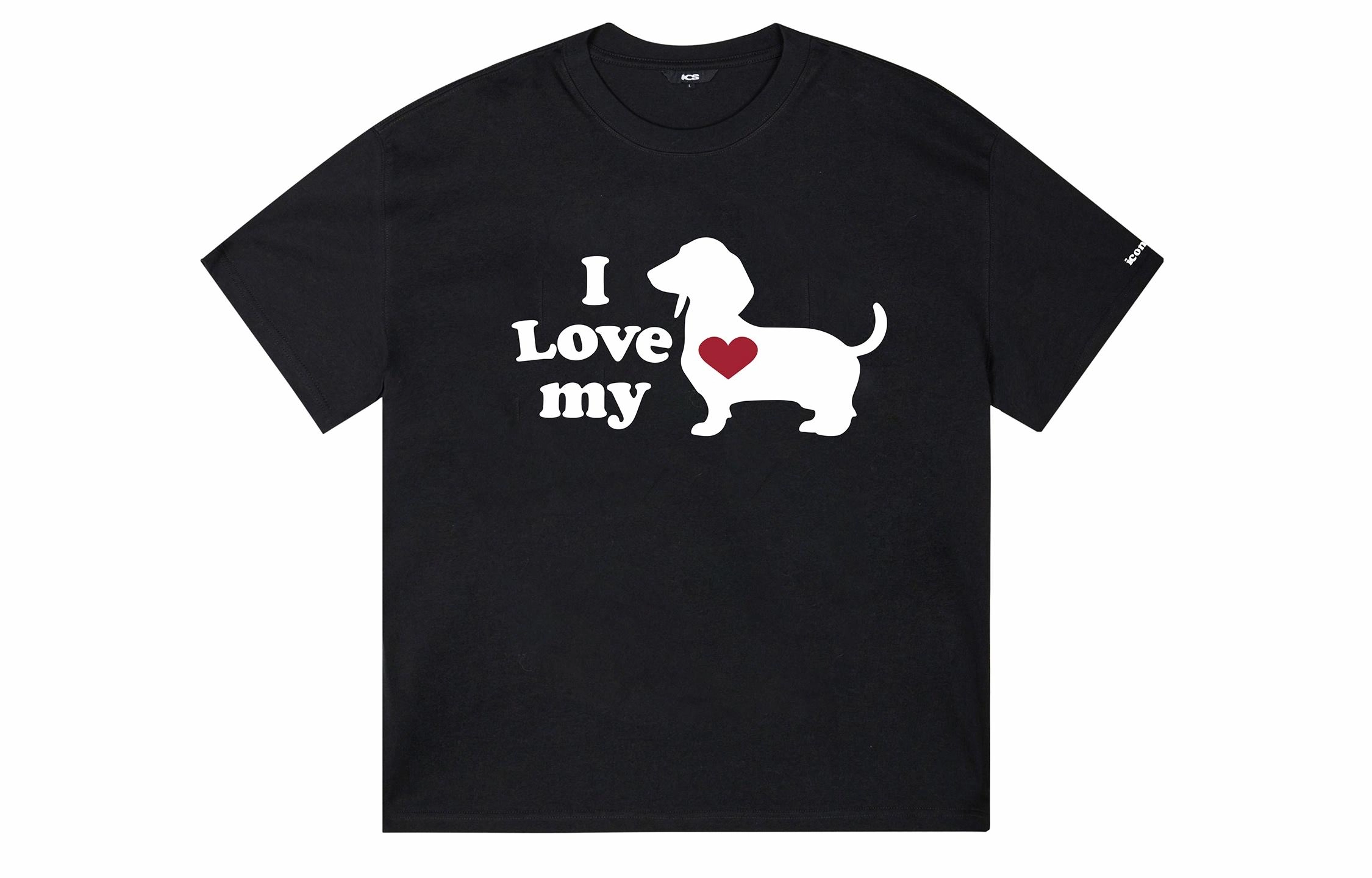 ICONS Lab T