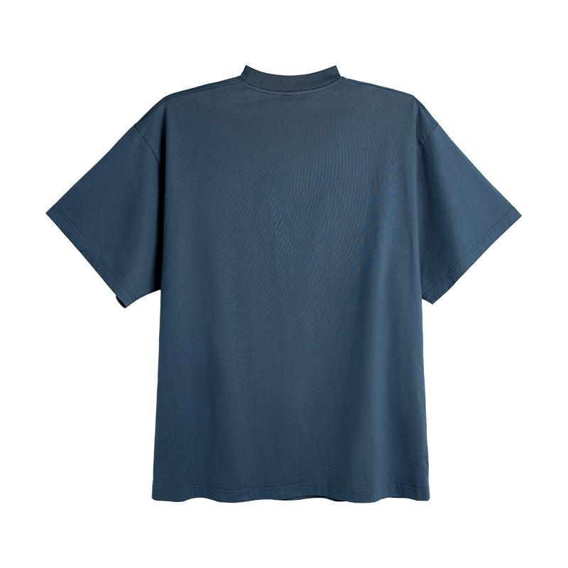 DBW DOUBLEWIN T