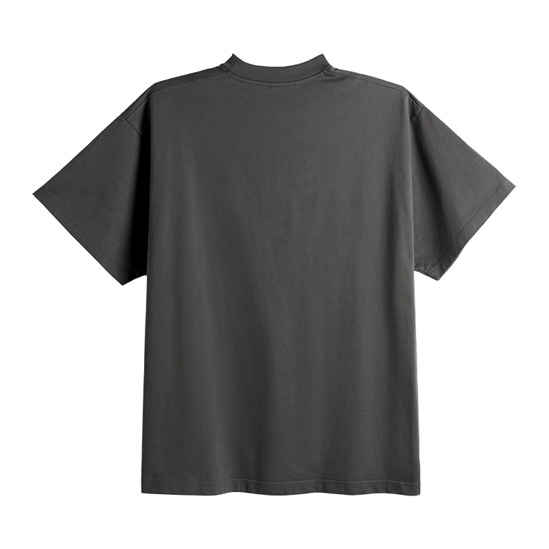 DBW DOUBLEWIN T