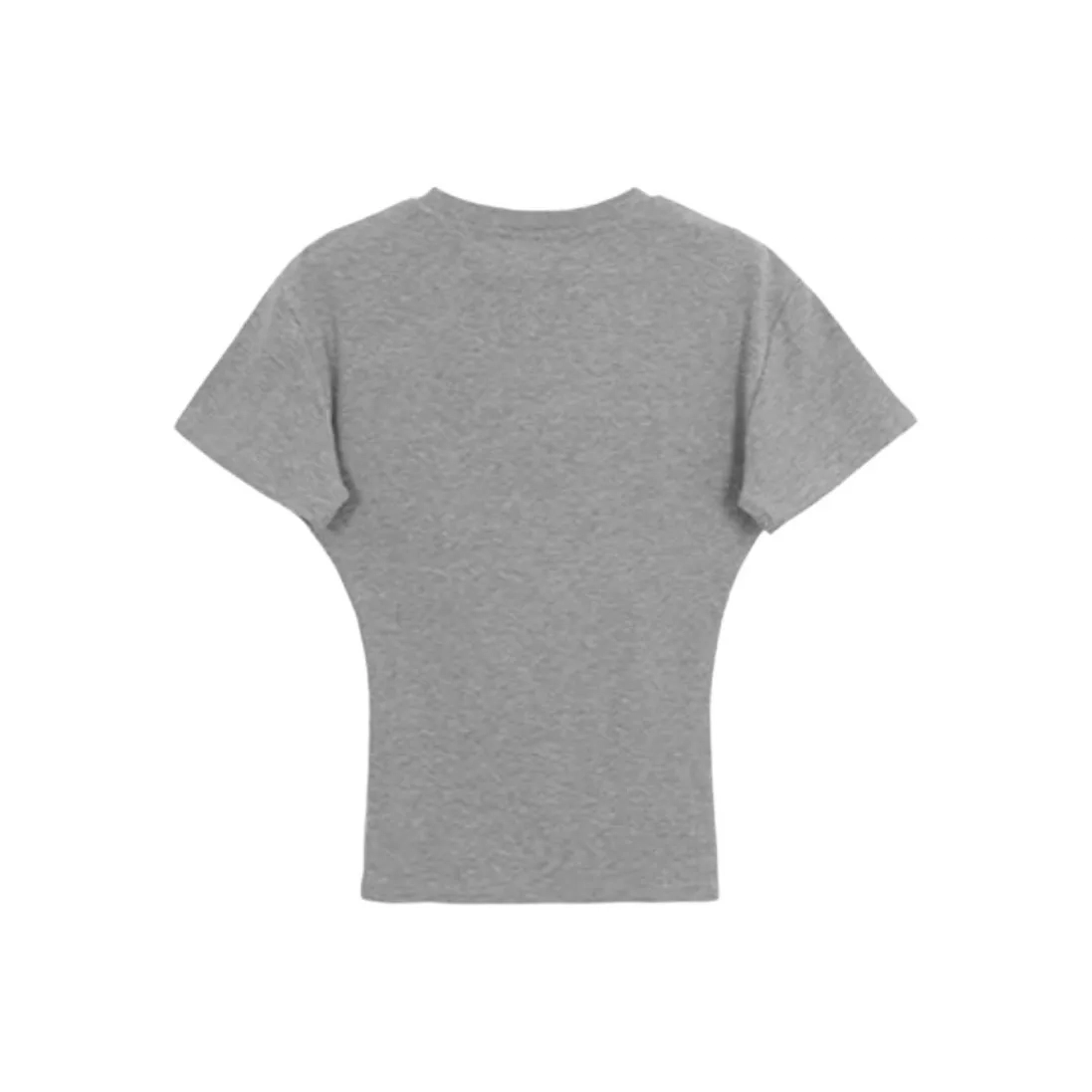 AURORA MUSE T