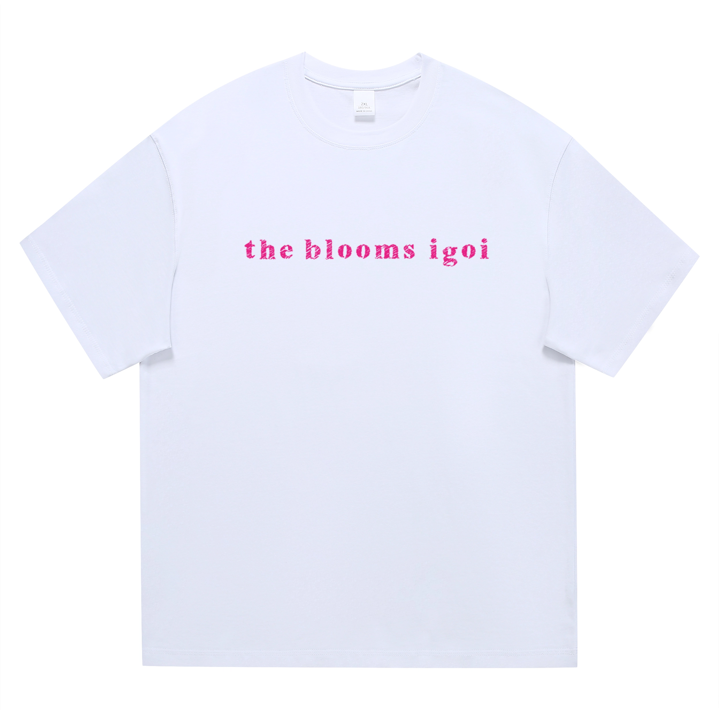 IGOI T