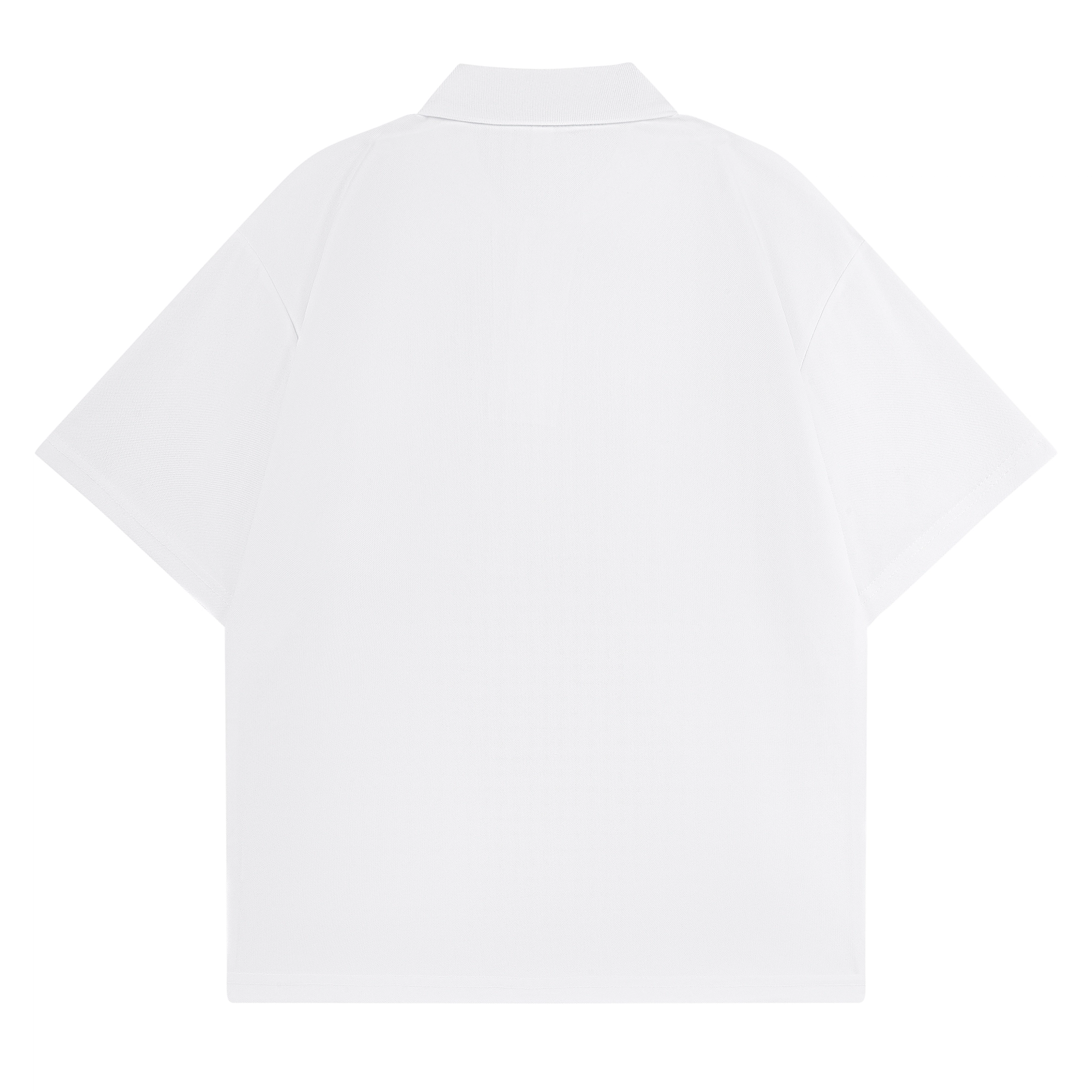 PAUL COSTELLOE logoPolo