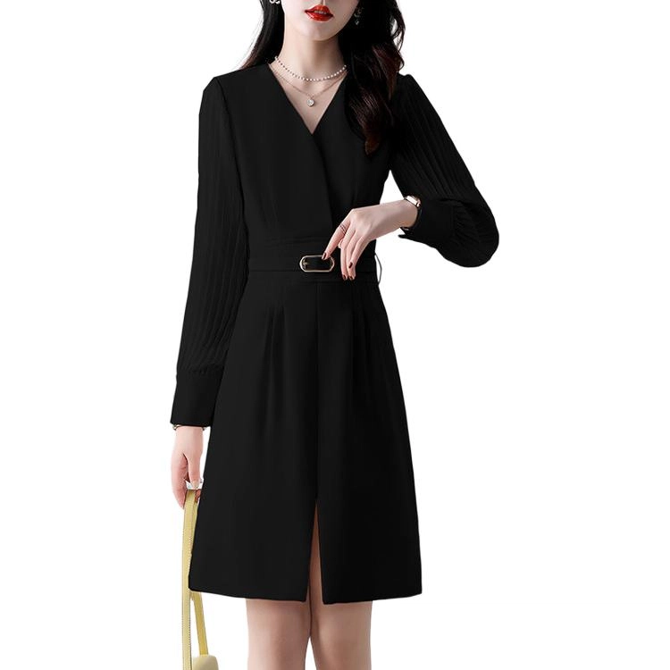 PIERRE CARDIN V