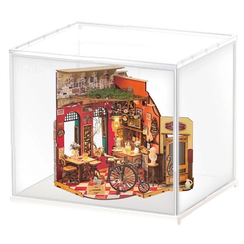 Rolife diy 312pcs DG173