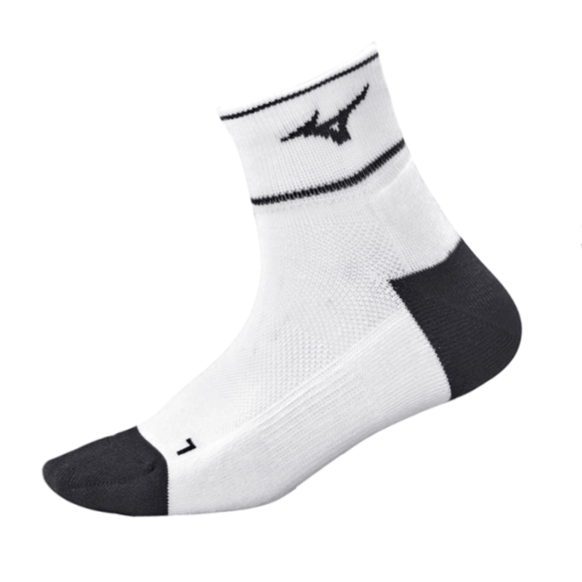 Mizuno 1