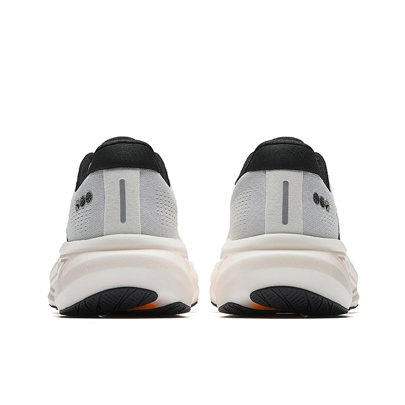 Anta 6