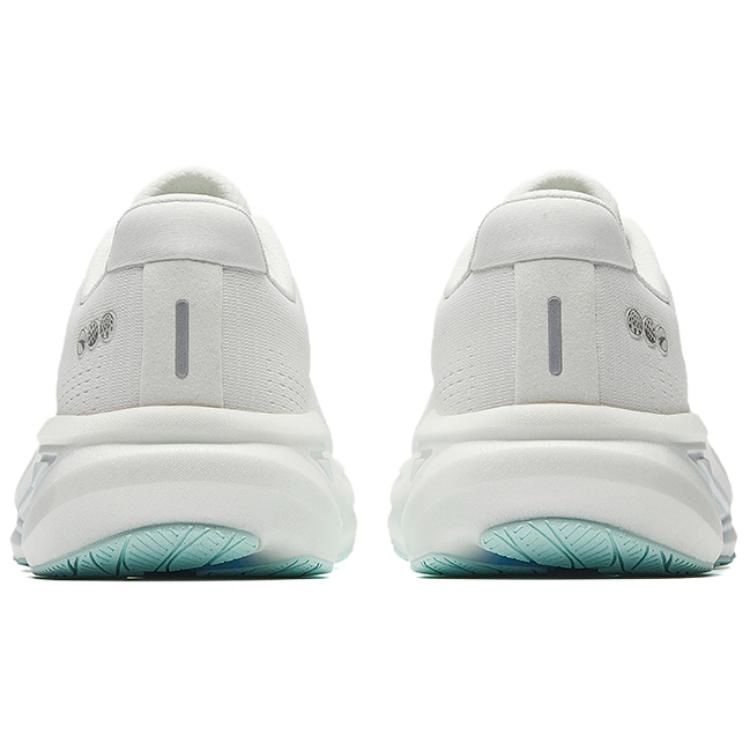 Anta 6