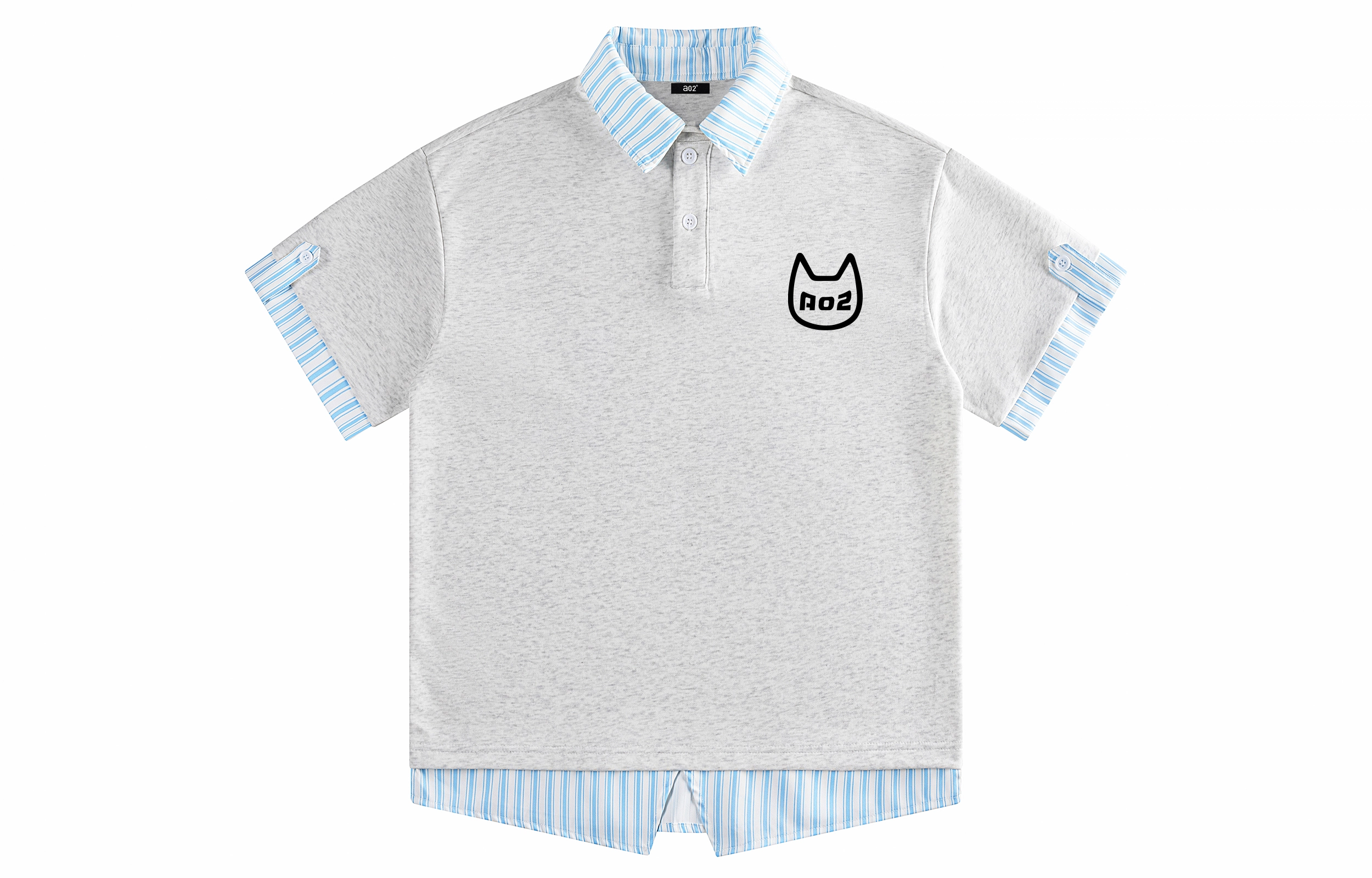 a02 logoPolo