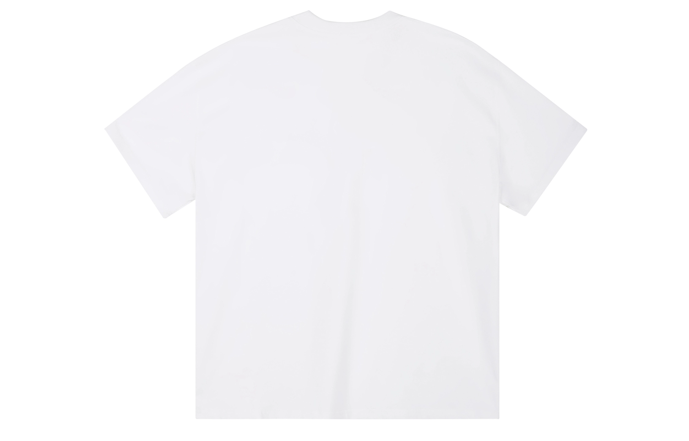 ICONS Lab ICS T