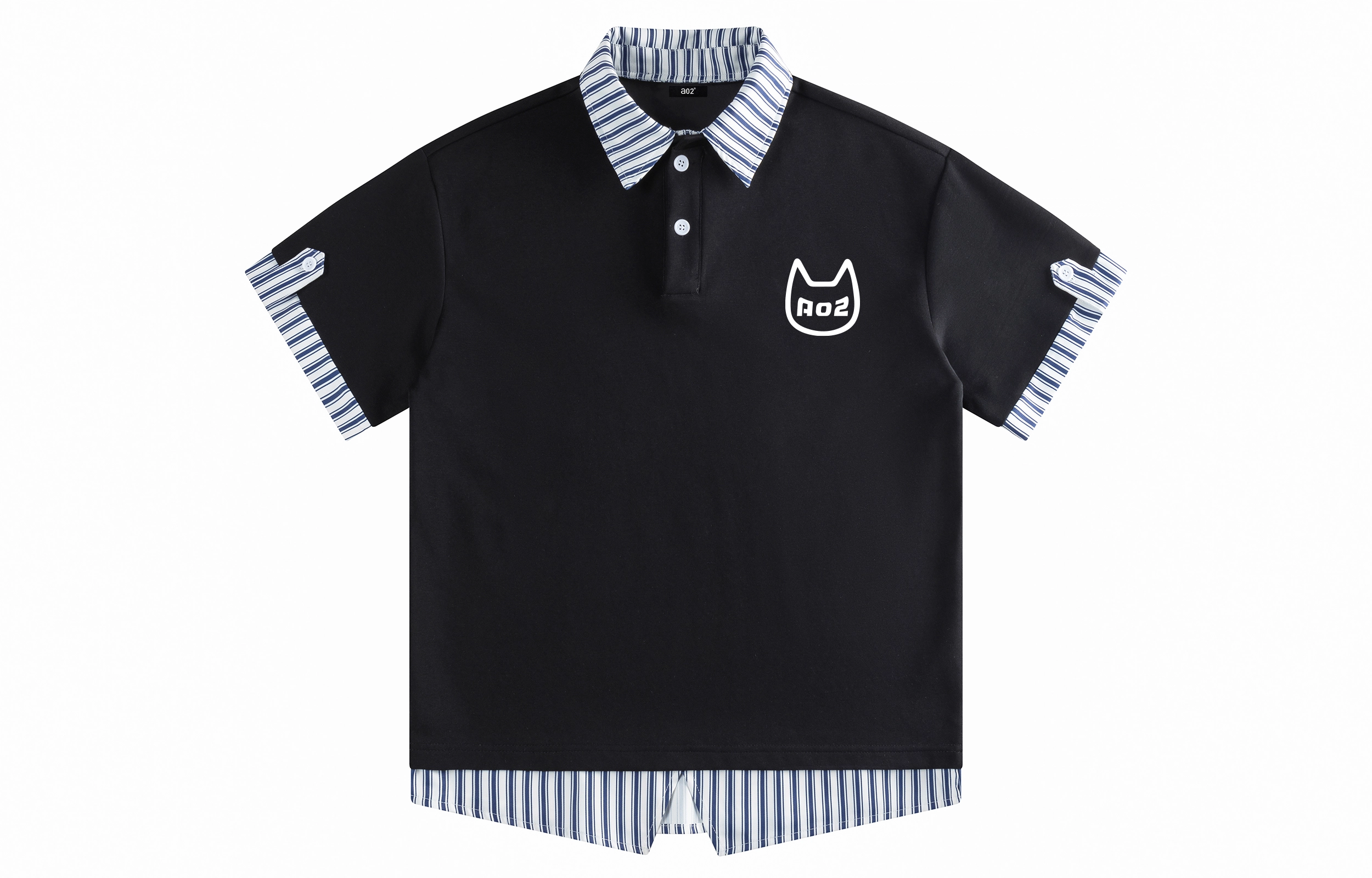 a02 logoPolo