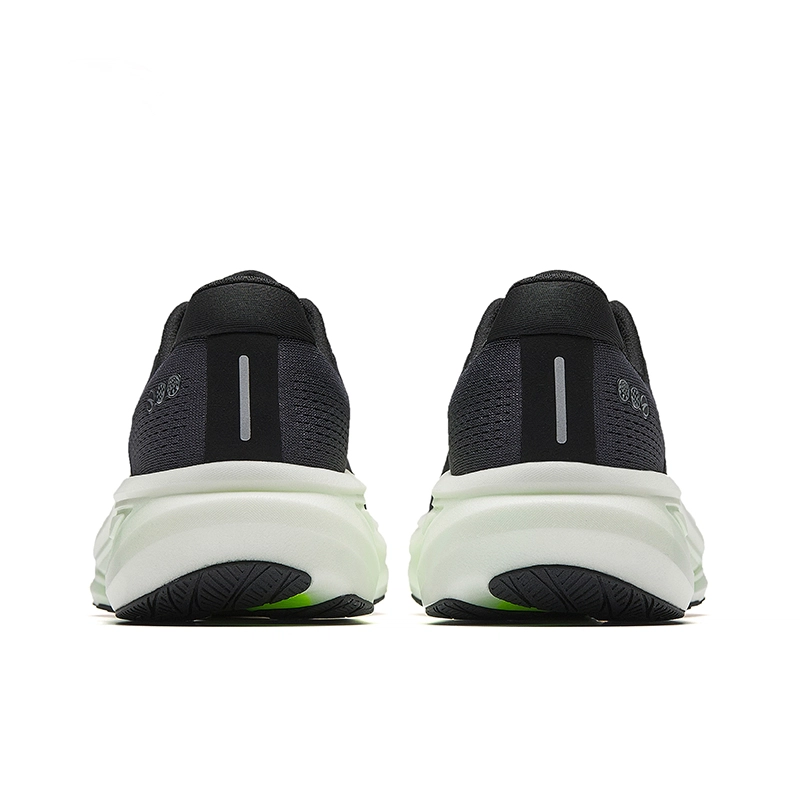 Anta 6