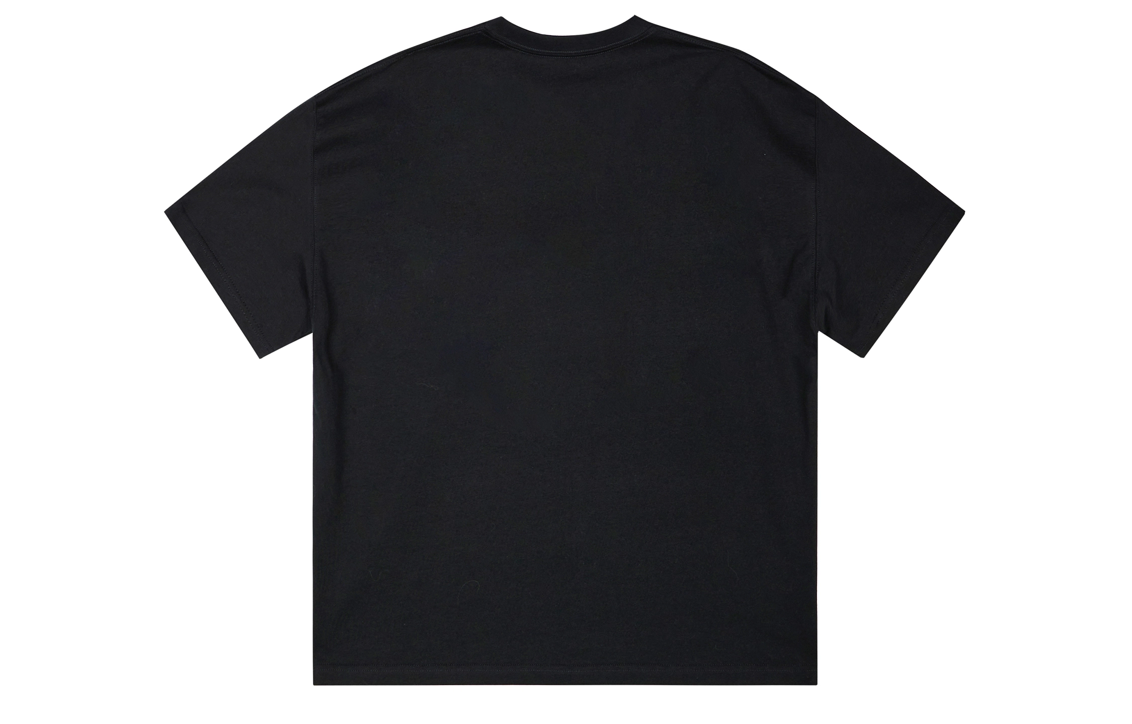 ICONS Lab ICS T