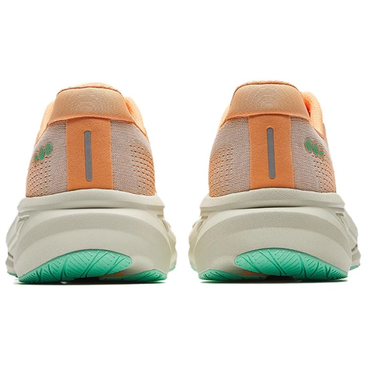 Anta 6