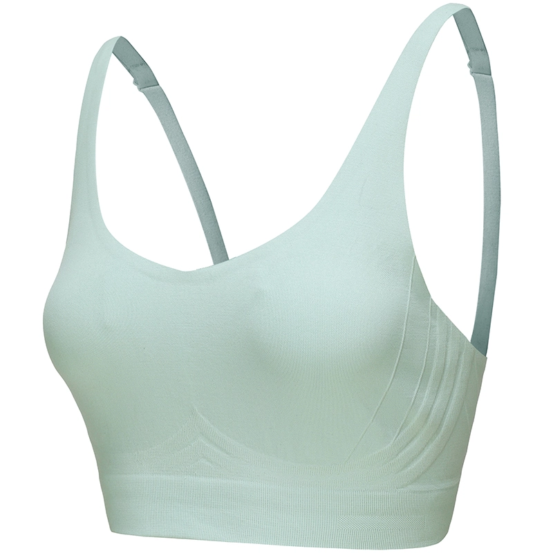 MOLY VIVI bra 2023