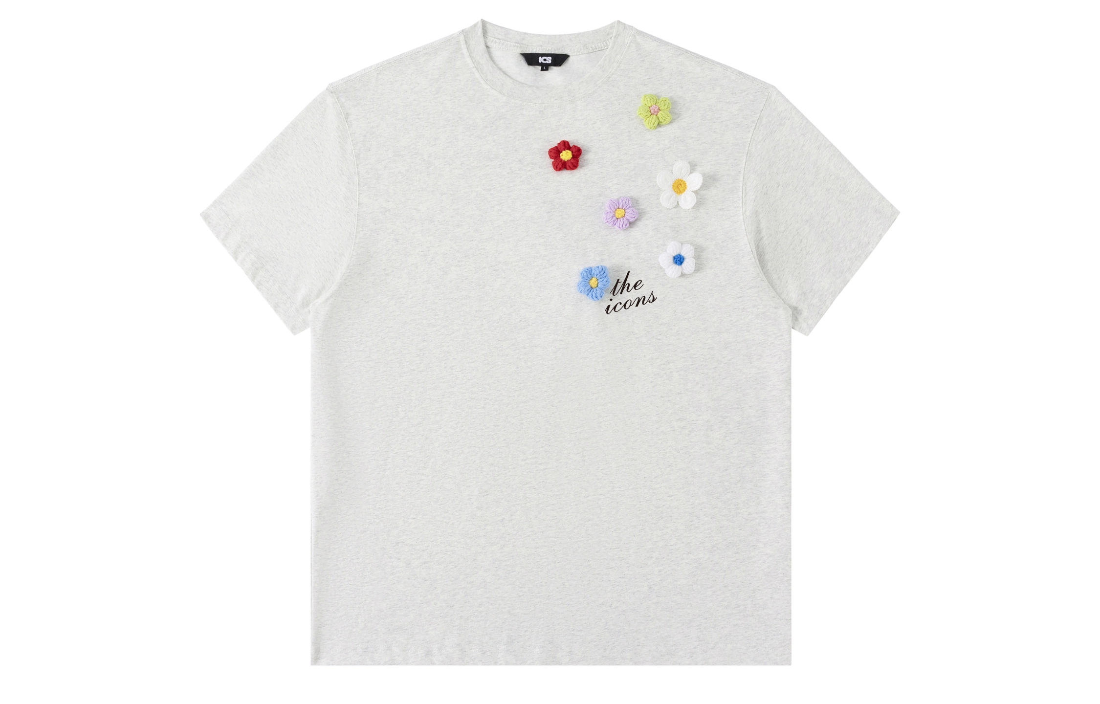 ICONS Lab ICS T