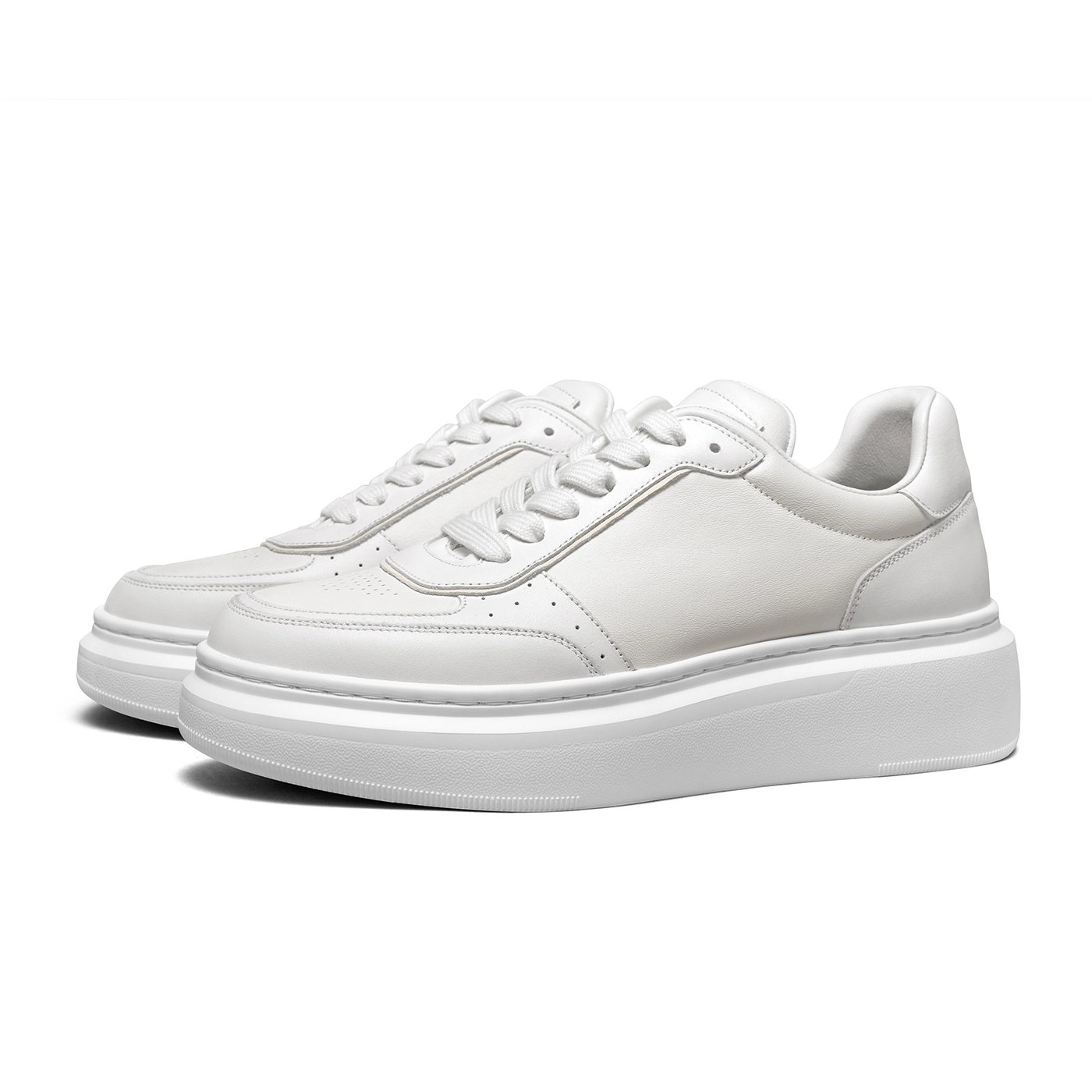 THOM WILLS trainer