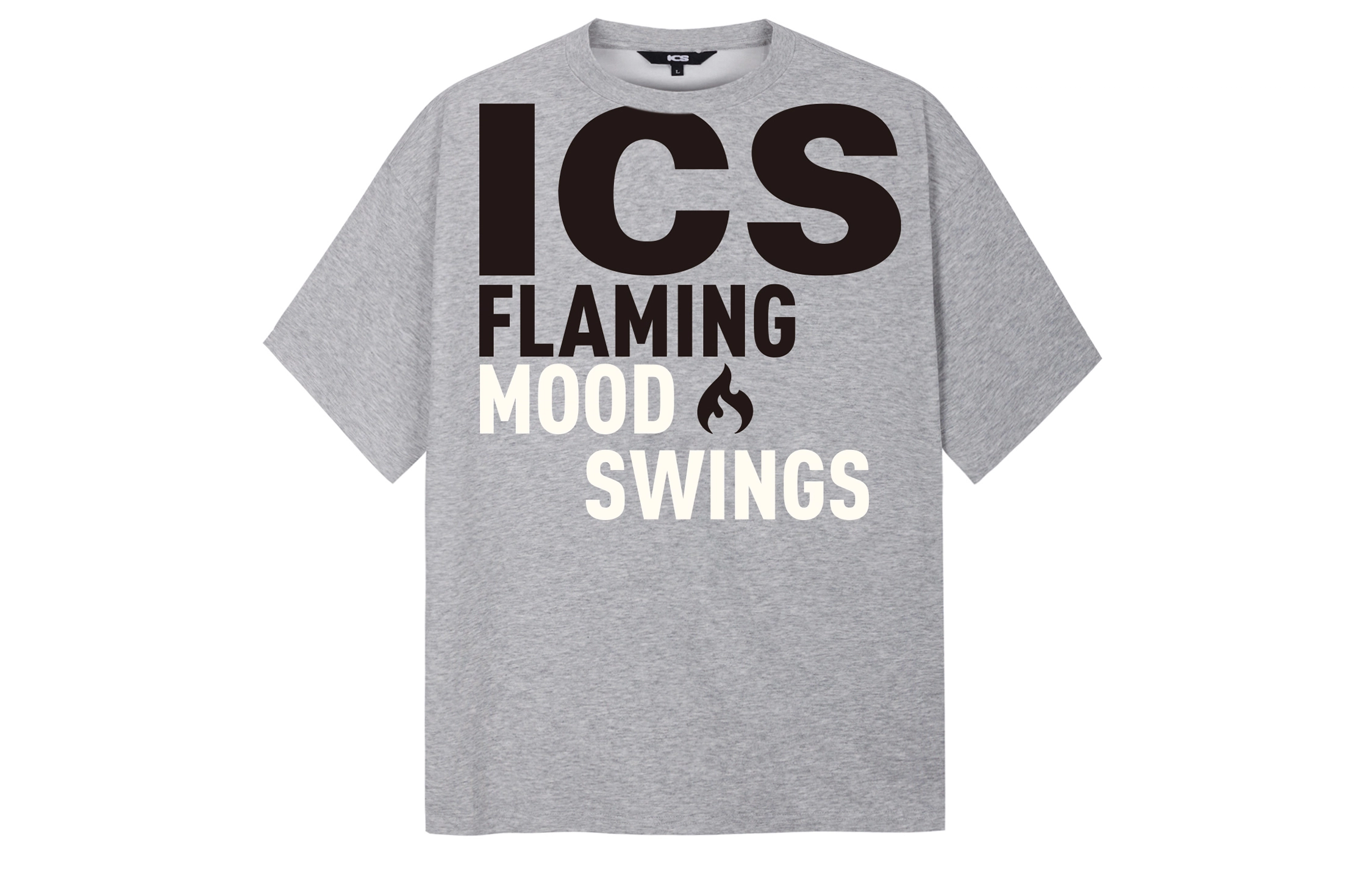 ICONS Lab ICS T