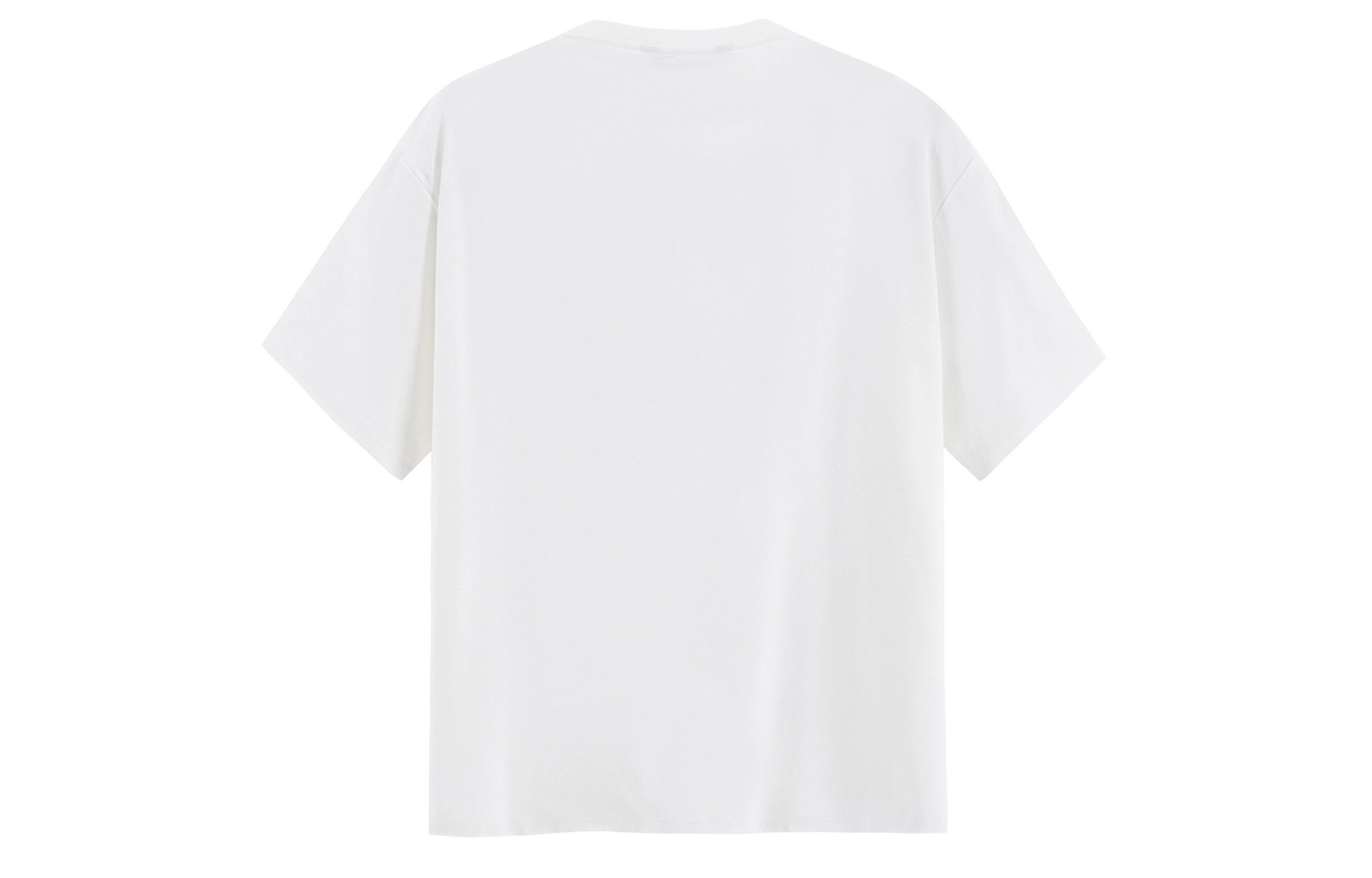 ICONS Lab ICS T