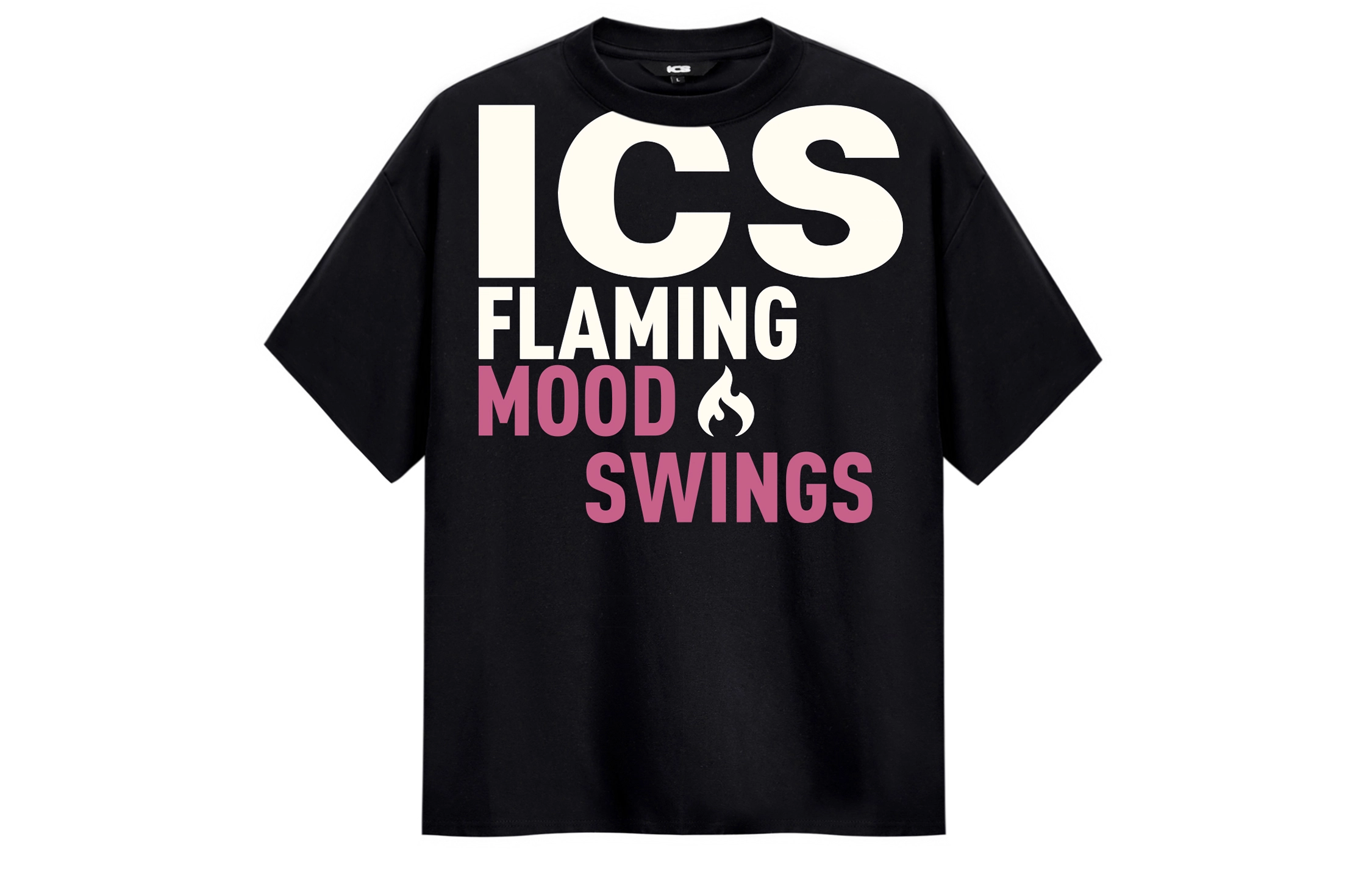 ICONS Lab ICS T