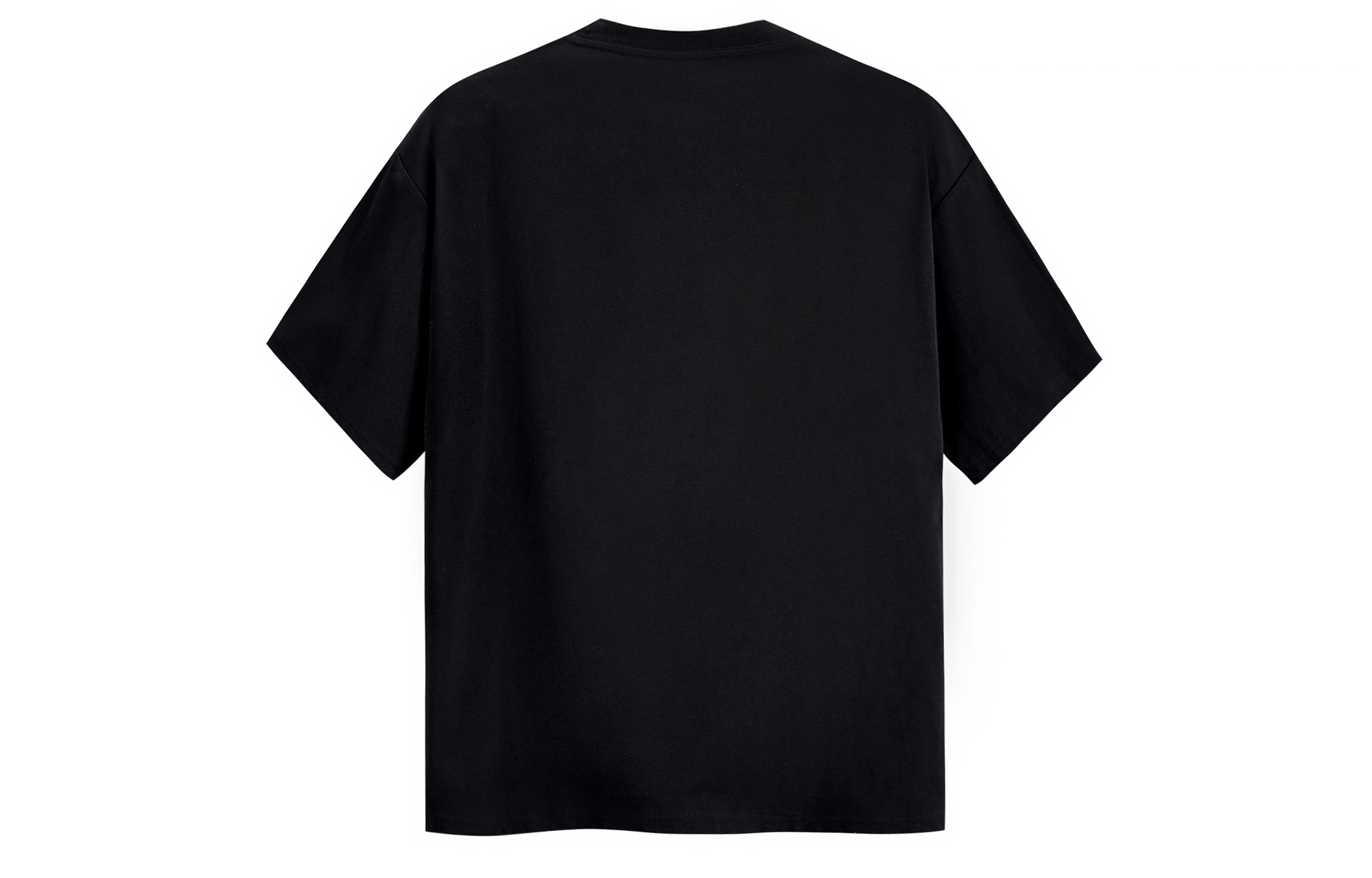 ICONS Lab ICS T