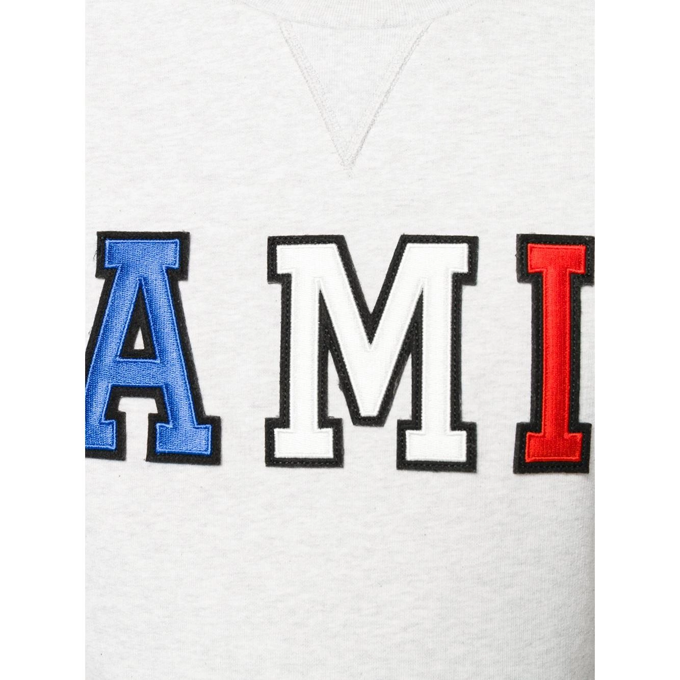 AMIPARIS Logo
