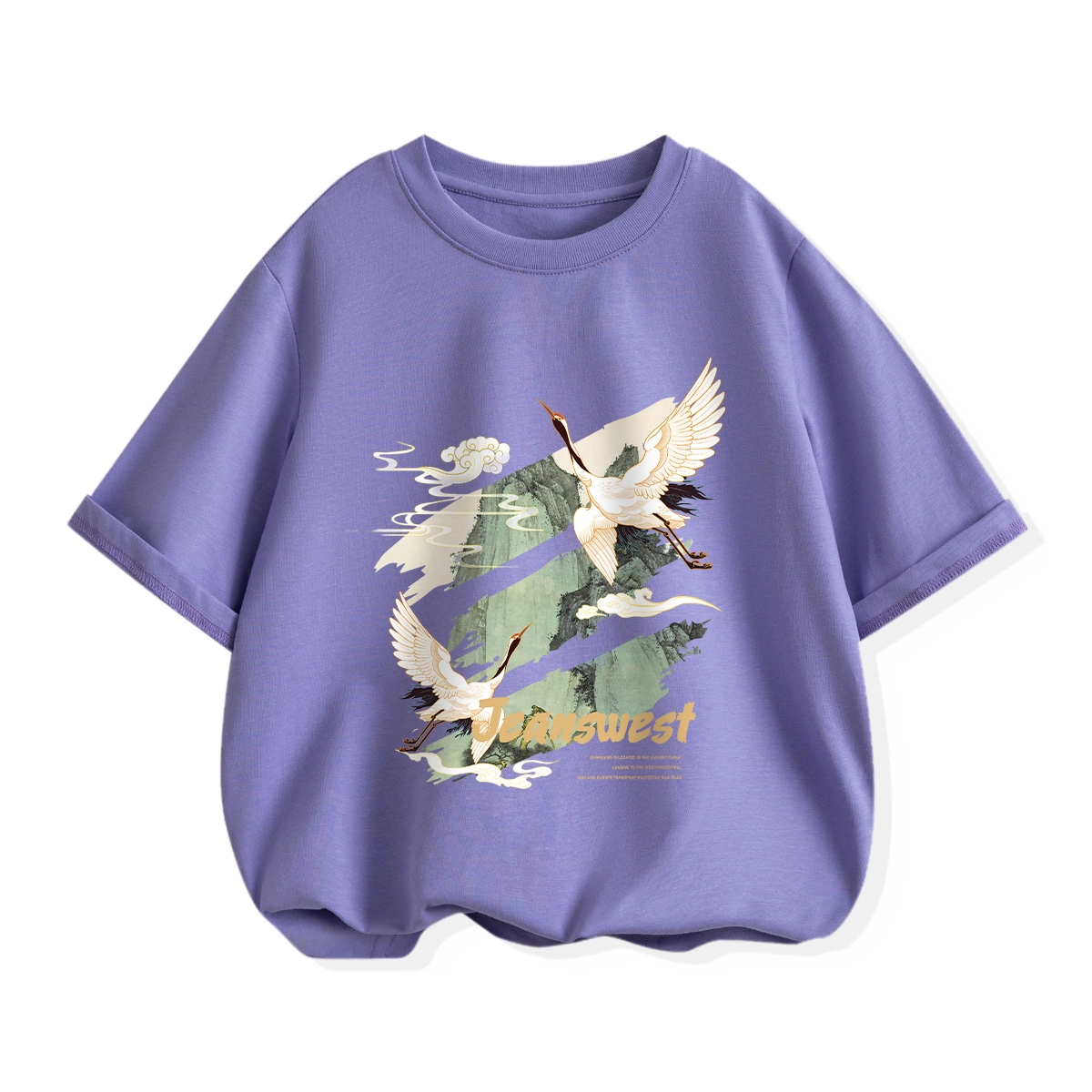 JEANSWEST JNR T