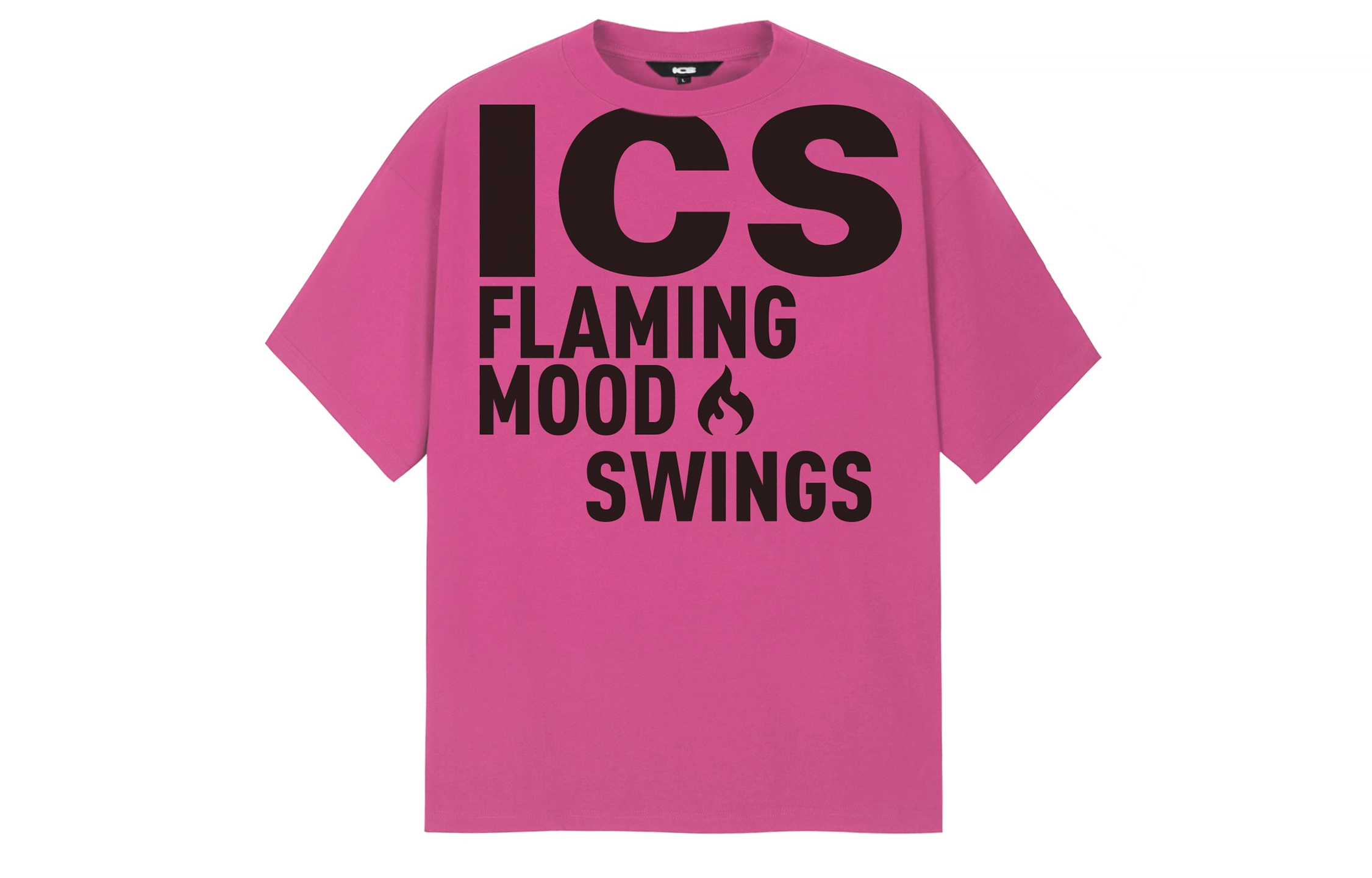 ICONS Lab ICS T