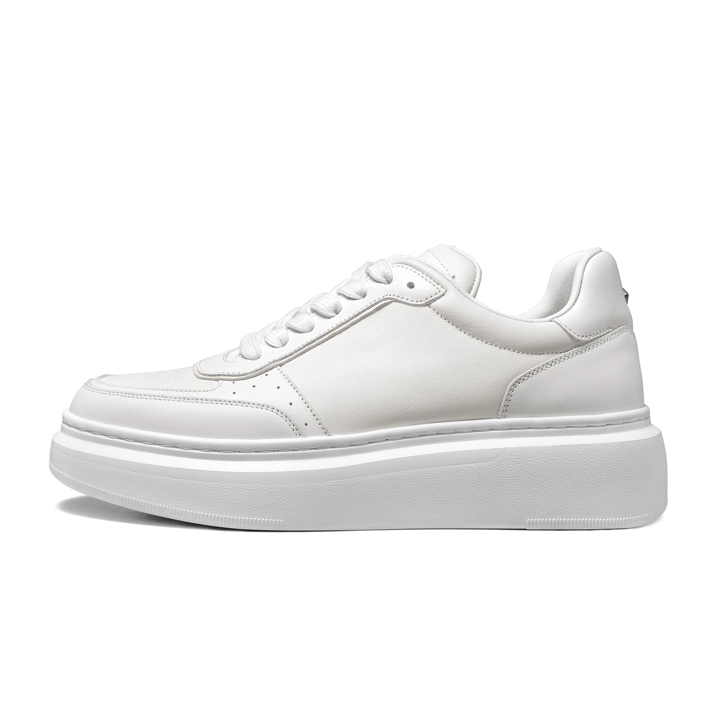 THOM WILLS trainer