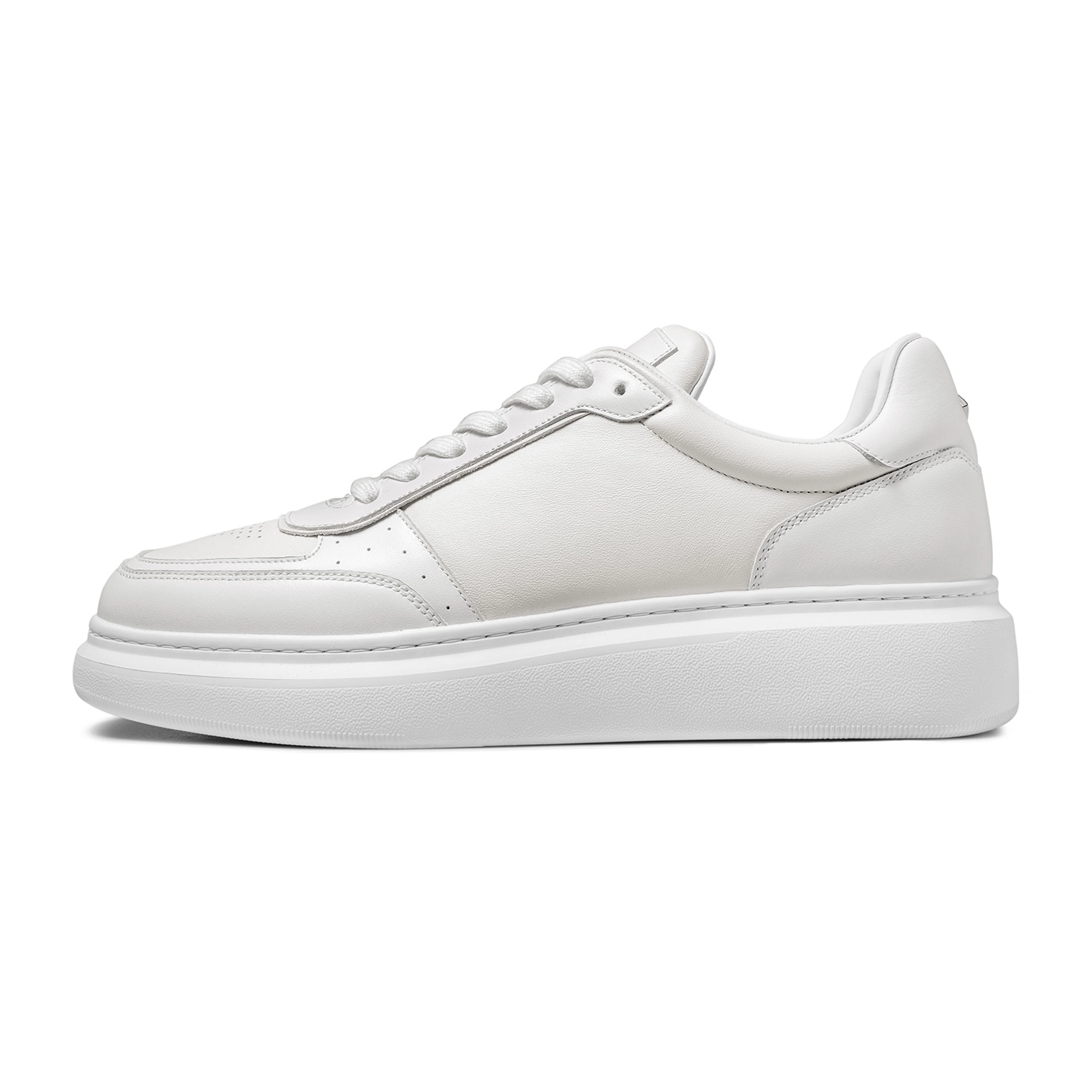 THOM WILLS trainer