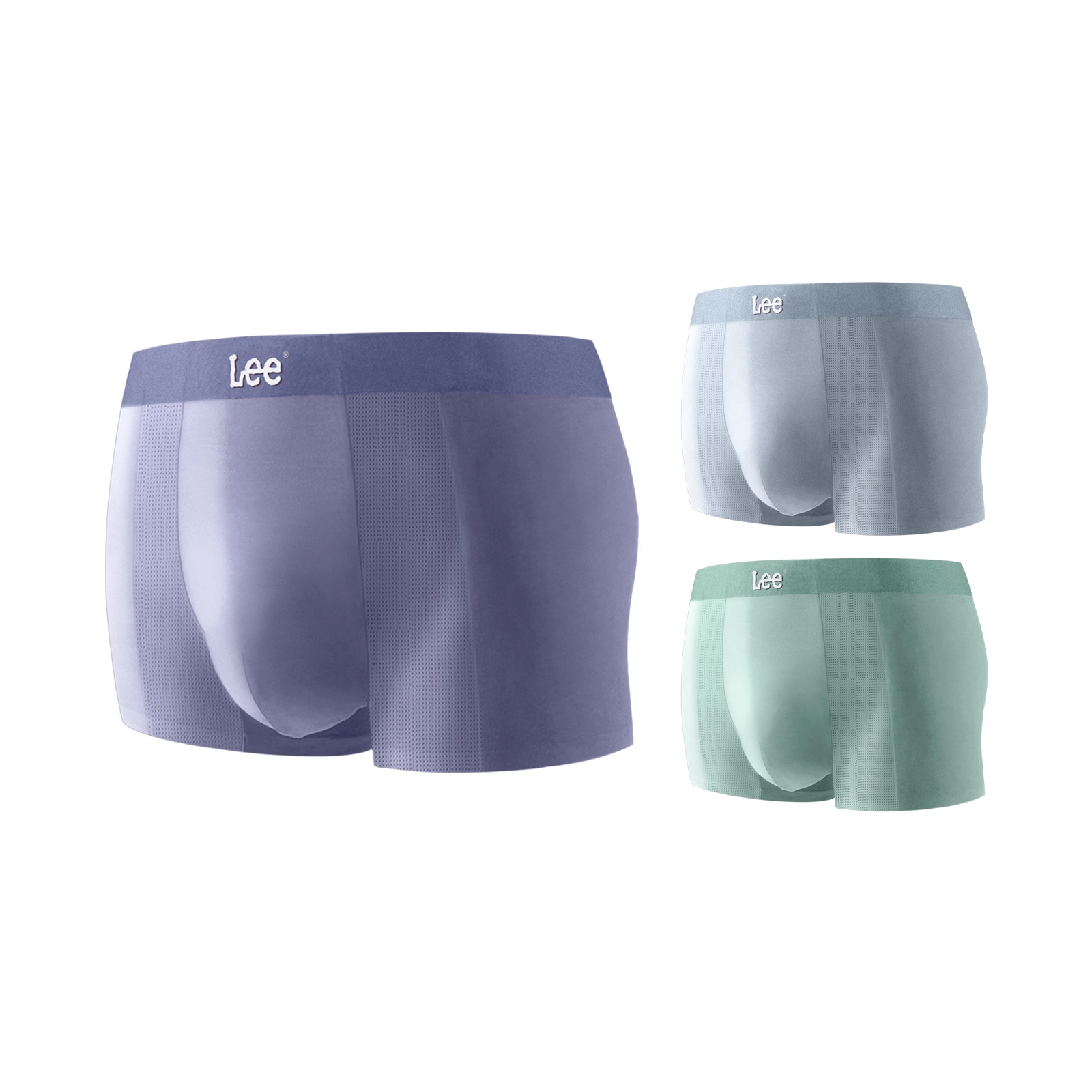 Lee 3